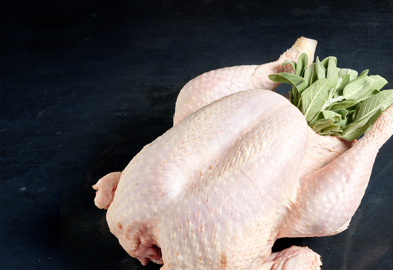 corn fed chicken
