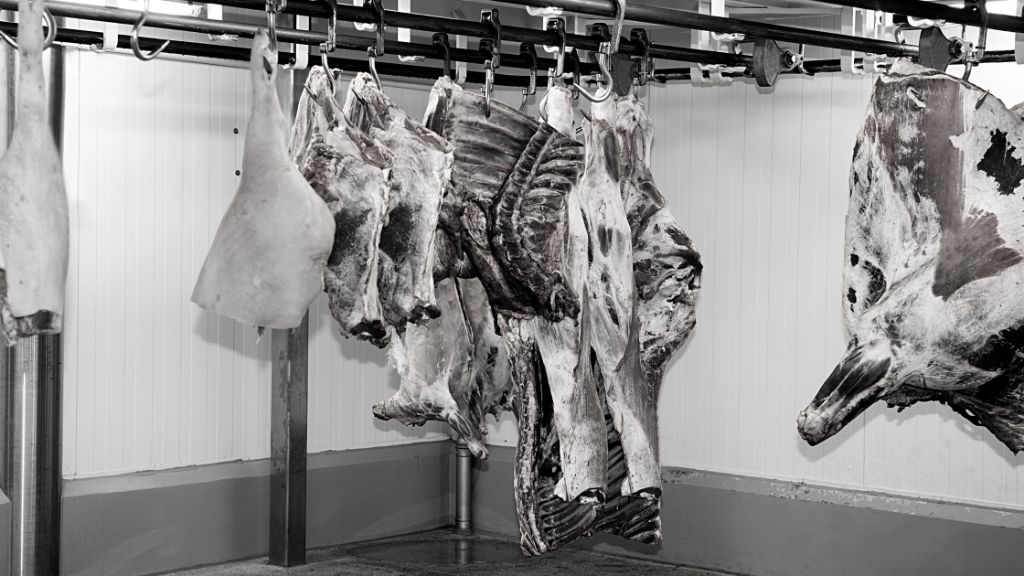 Why does hanging meat make it taste better? The science behind the preparation.